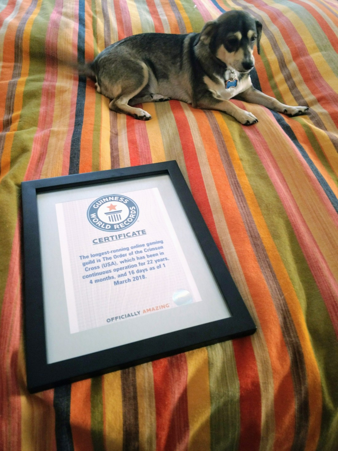 IMG_20180622_163036871_LL